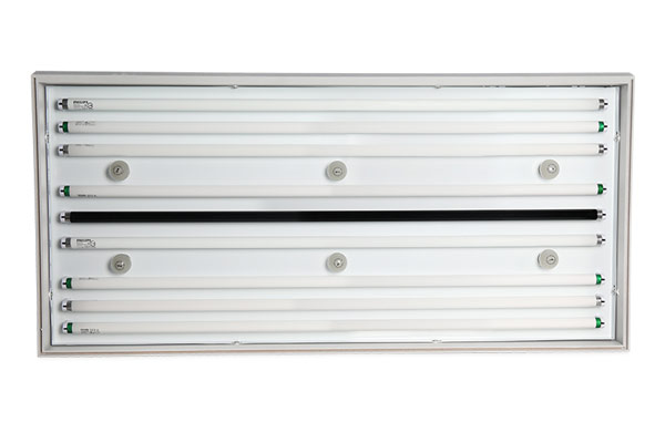 白熾燈和日光燈有什么區別？白熾燈有哪些優缺點？