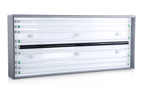 白熾燈和鹵鎢燈可以做標準光源嗎？