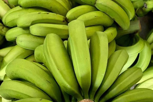 標準光源箱用于香蕉果皮顏色的檢測與分類